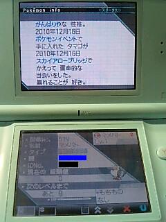 ｔｈｅ ｐｔｄ ポケモン